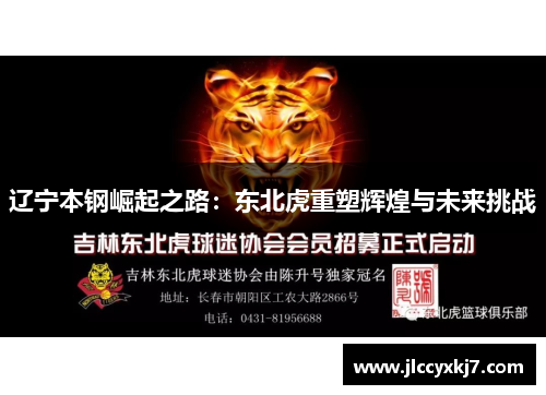 辽宁本钢崛起之路：东北虎重塑辉煌与未来挑战